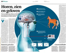 The vOICe in Het Financieele Dagblad